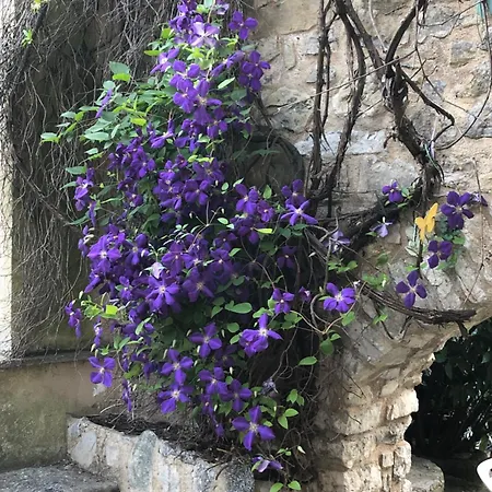 Accommodatie bij particulieren Molino Valsecchi 1369 Asso